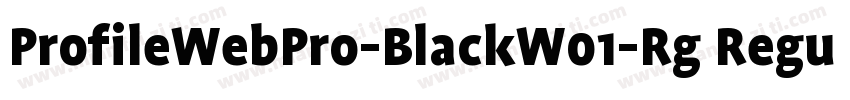 ProfileWebPro-BlackW01-Rg Regular字体转换